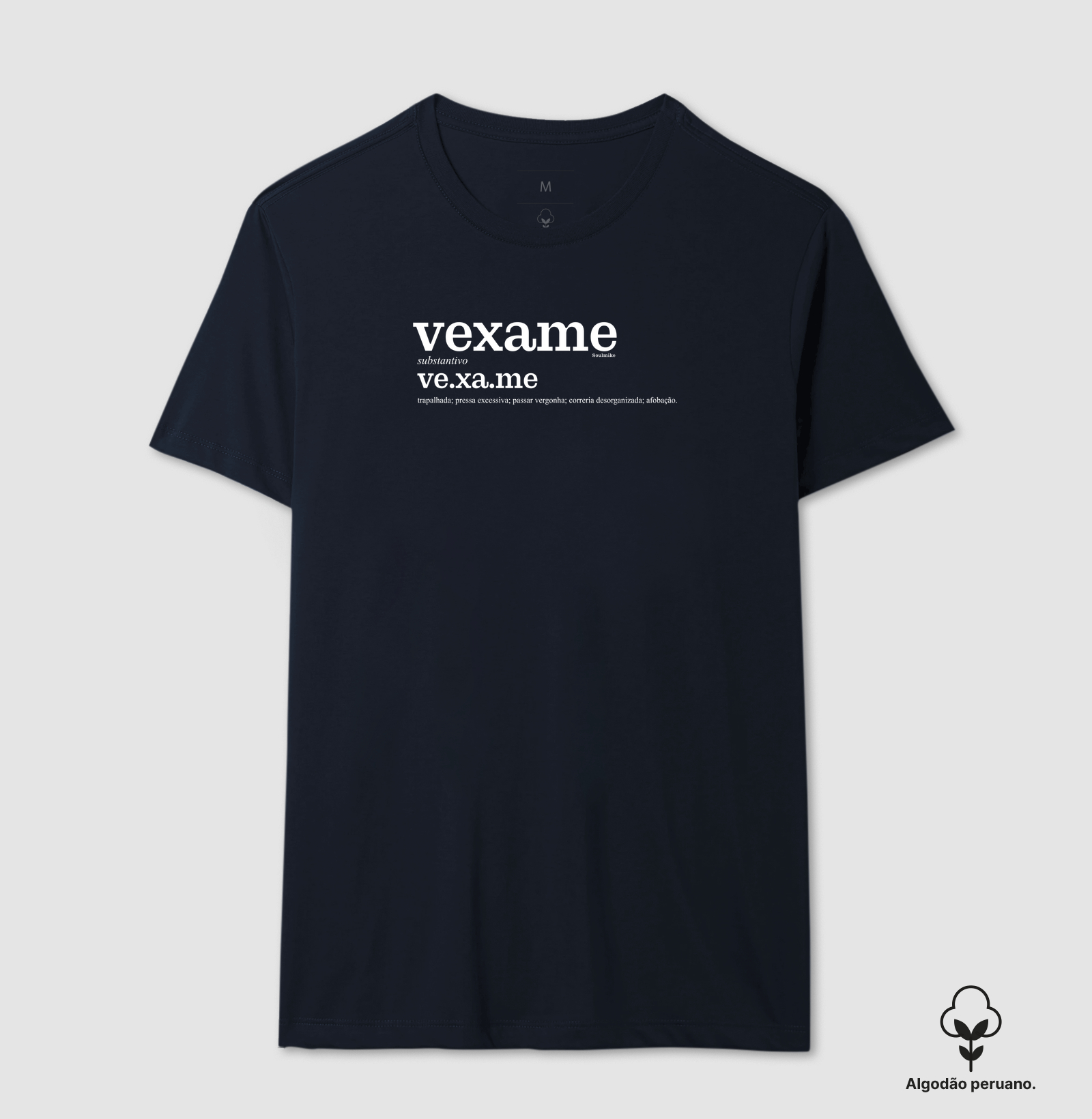 Vexame - Dicionário Militar - Imagem 9