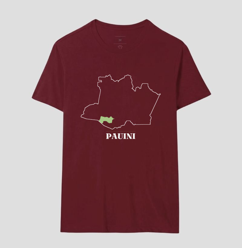 Pauini | Traço AM - Imagem 18