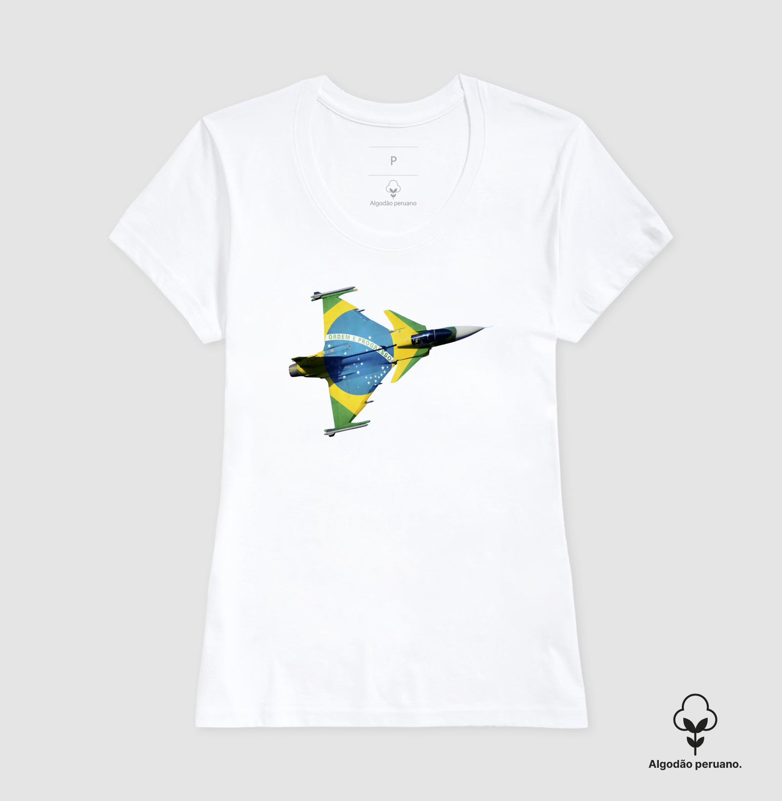 Gripen Brasil - Imagem 7