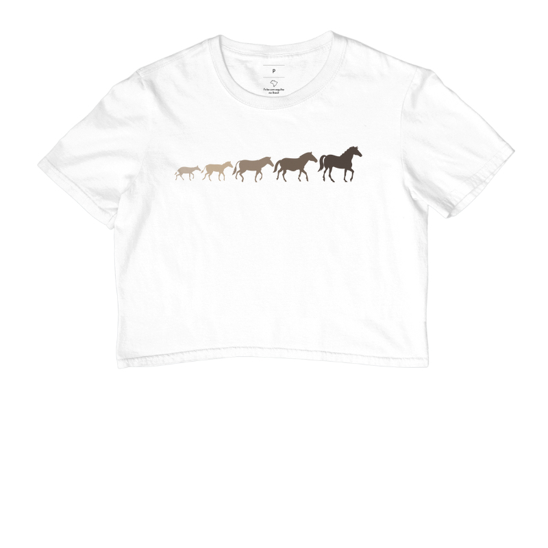 Evolução Equestre  - Imagem 3