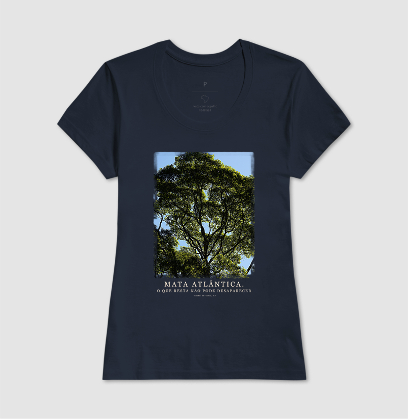 Mata Atlântica - Imagem 5