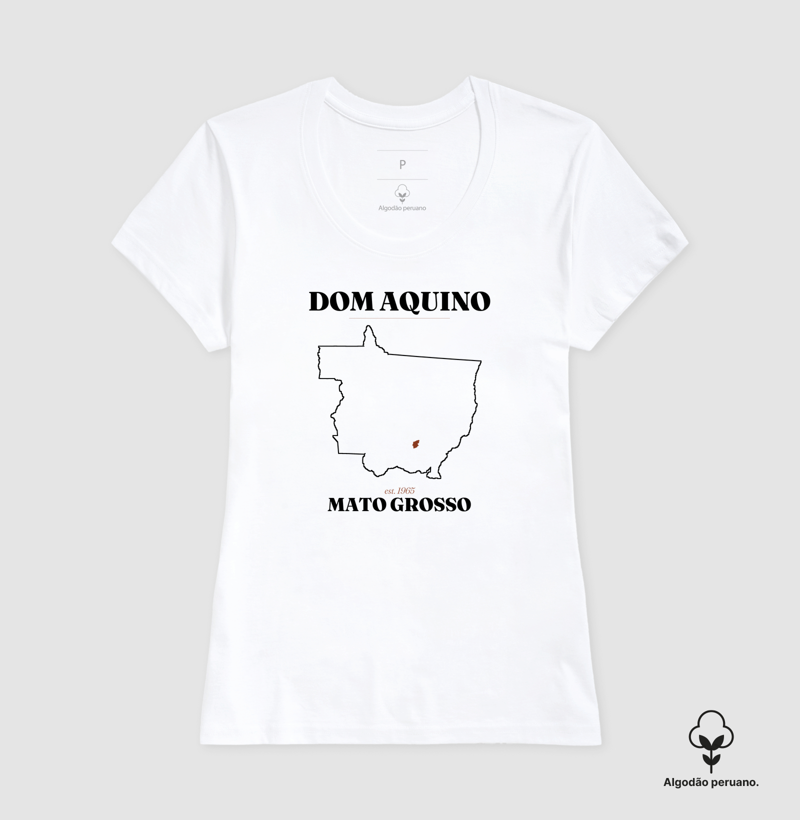 Dom Aquino | Legado MT - Imagem 5