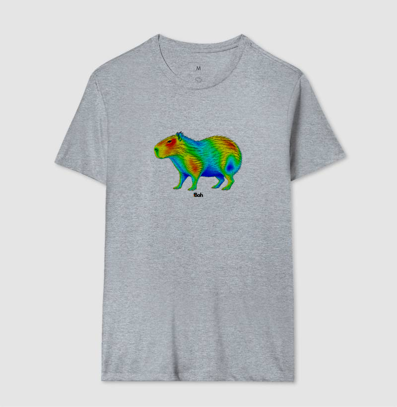 Aerodinâmica de uma Capivara - Imagem 8
