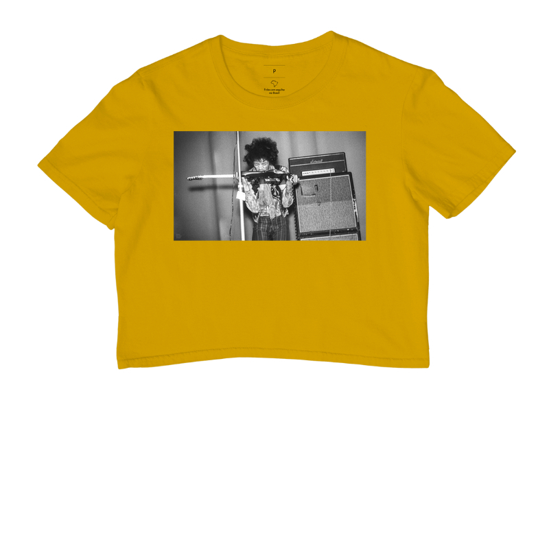 Jimi Hendrix e guitarra - 1967 - Imagem 8