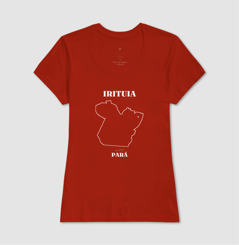 Irituia | Legado PA - Imagem 11