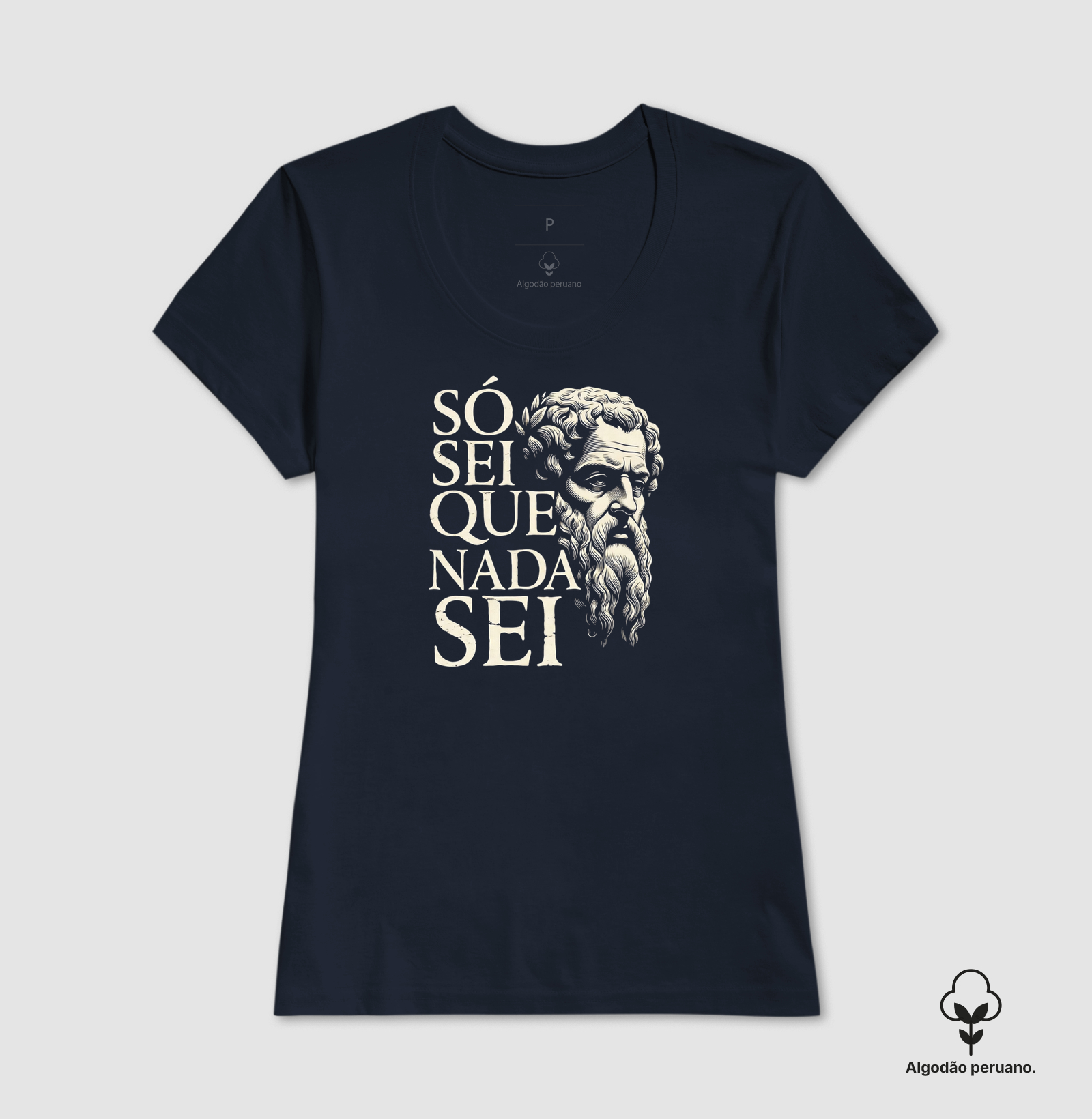 Filosofia de Sócrates "Só sei que nada sei" - Imagem 8