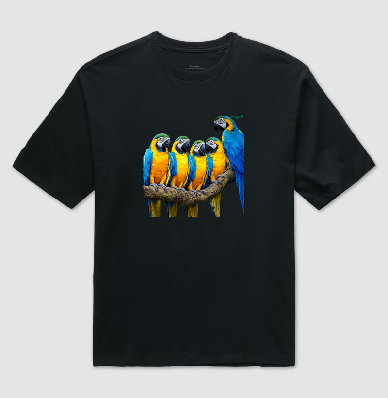 Camisa 1