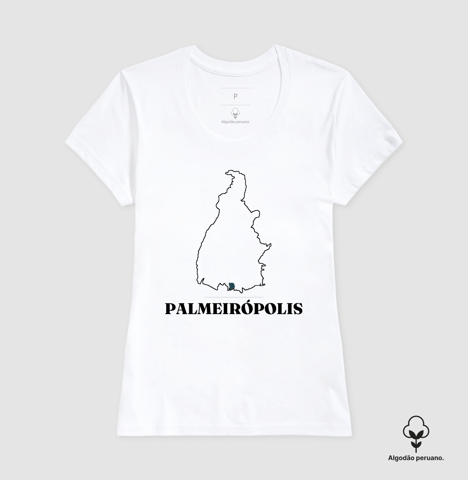 Palmeirópolis | Traço TO - Imagem 9