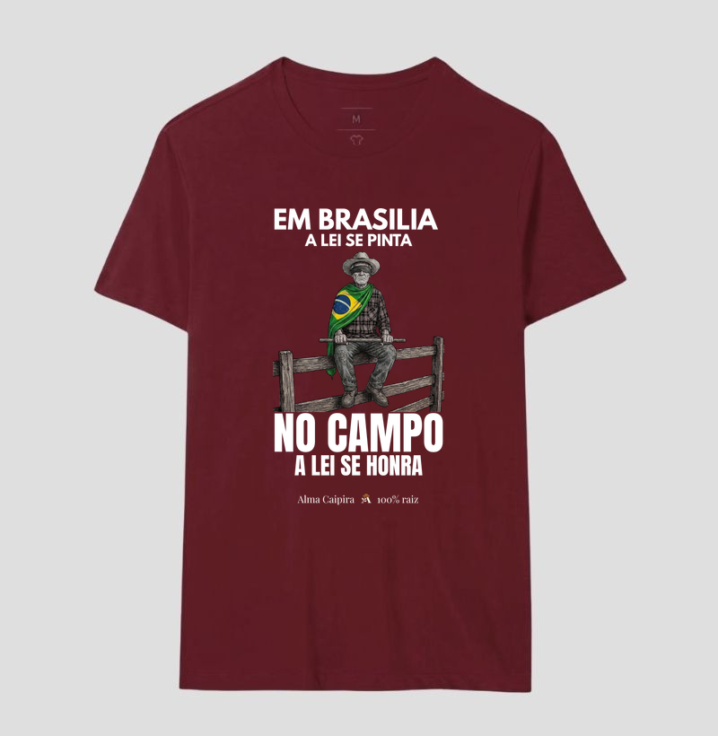 Em Brasília a lei se pinta, no Campo a lei se honra - Imagem 18