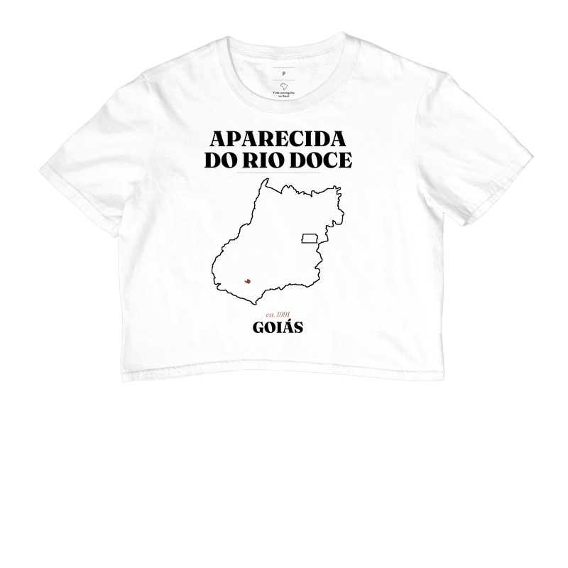 Aparecida do Rio Doce | Legado GO - Imagem 3