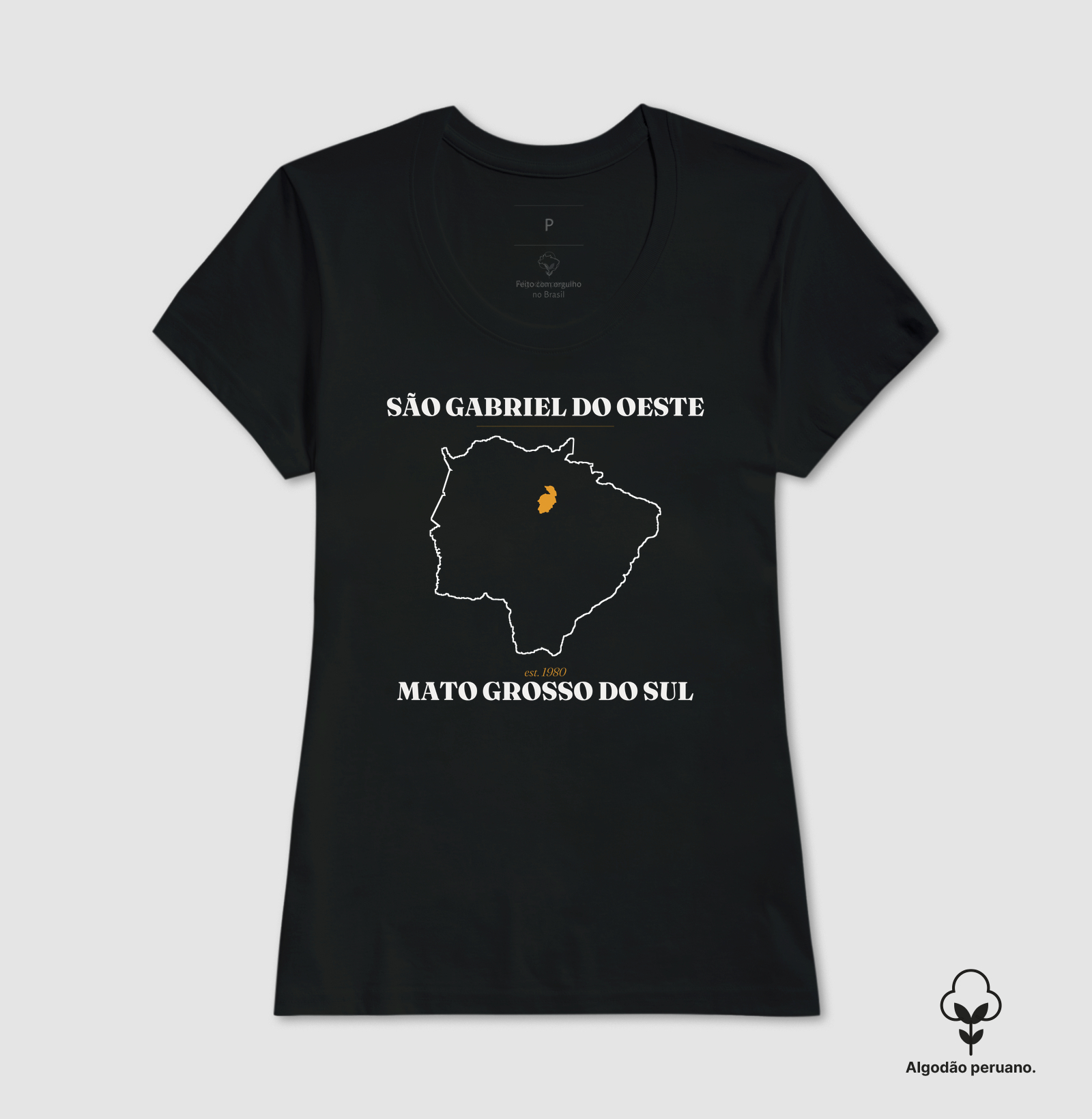 São Gabriel do Oeste | Legado MS - Imagem 7