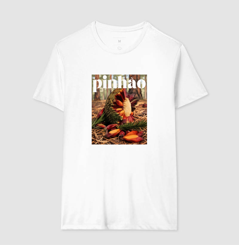 Pinhão - Imagem 4