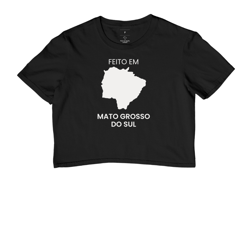 Feito em Mato Grosso do Sul - Imagem 2