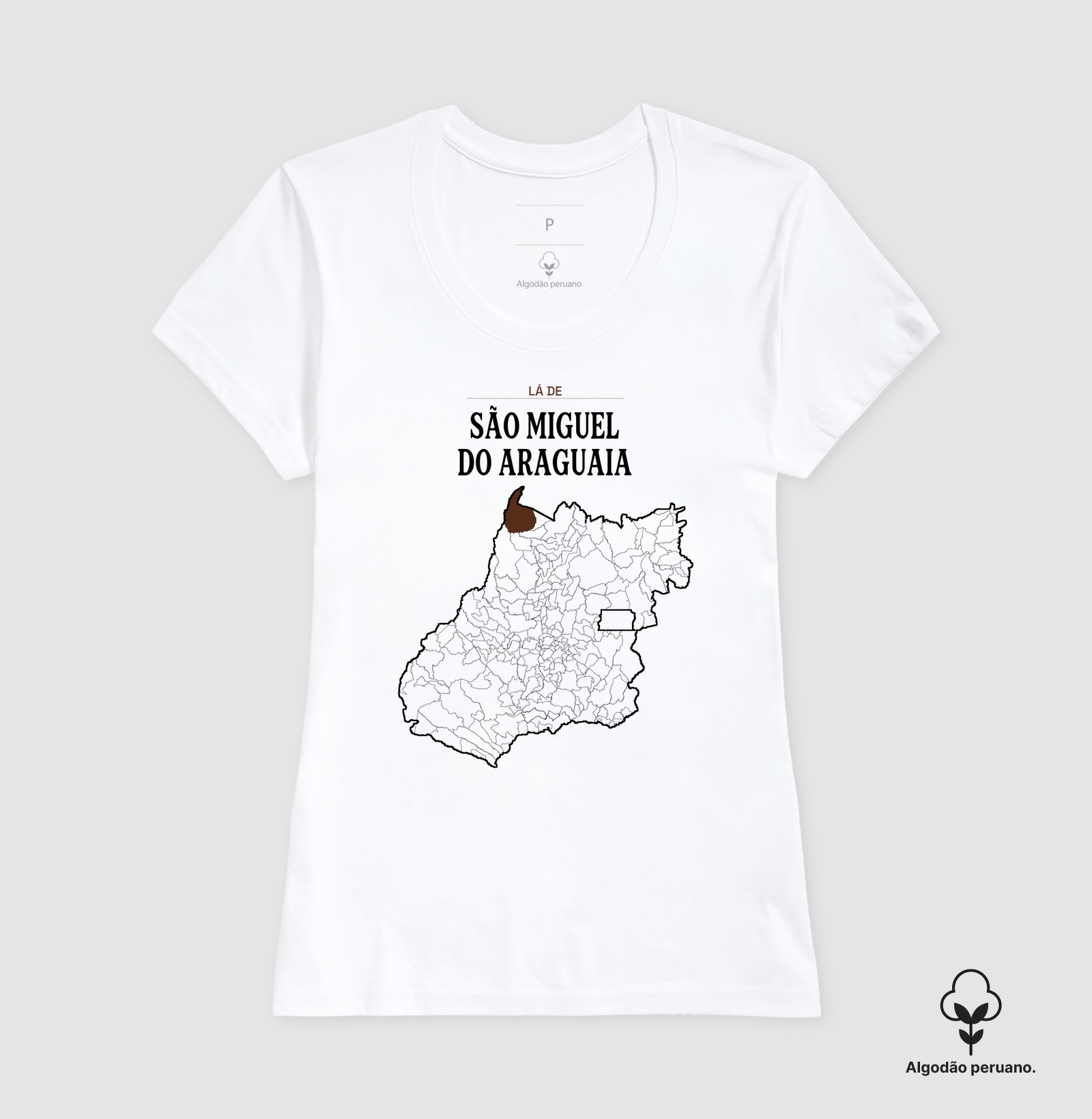 São Miguel do Araguaia | Território GO - Imagem 5
