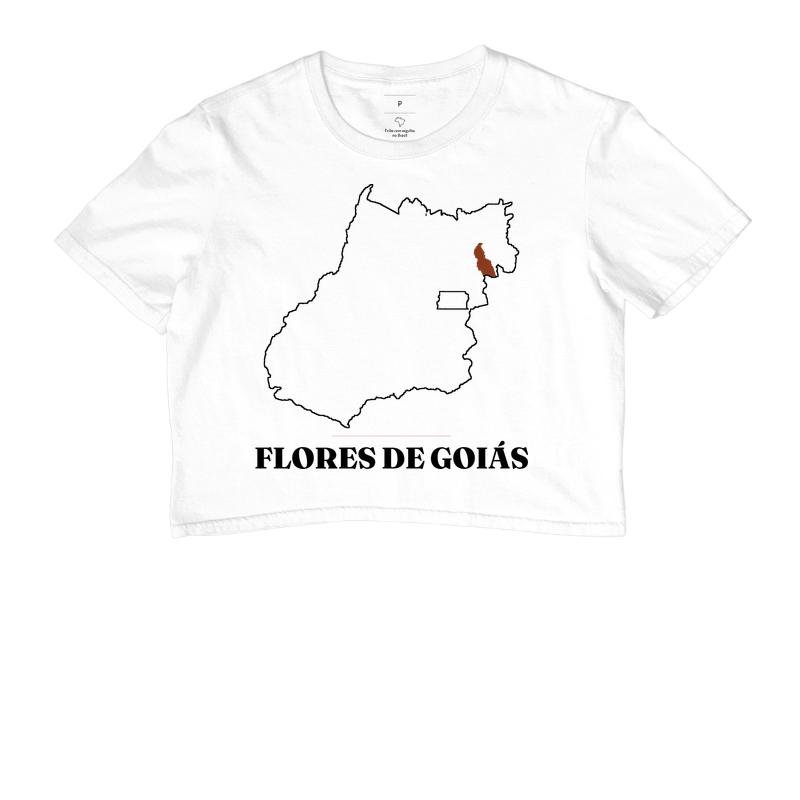 Flores de Goiás | Traço GO - Imagem 3