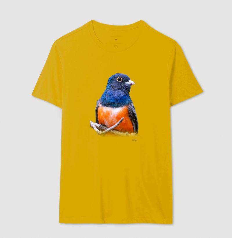 Camisa 13
