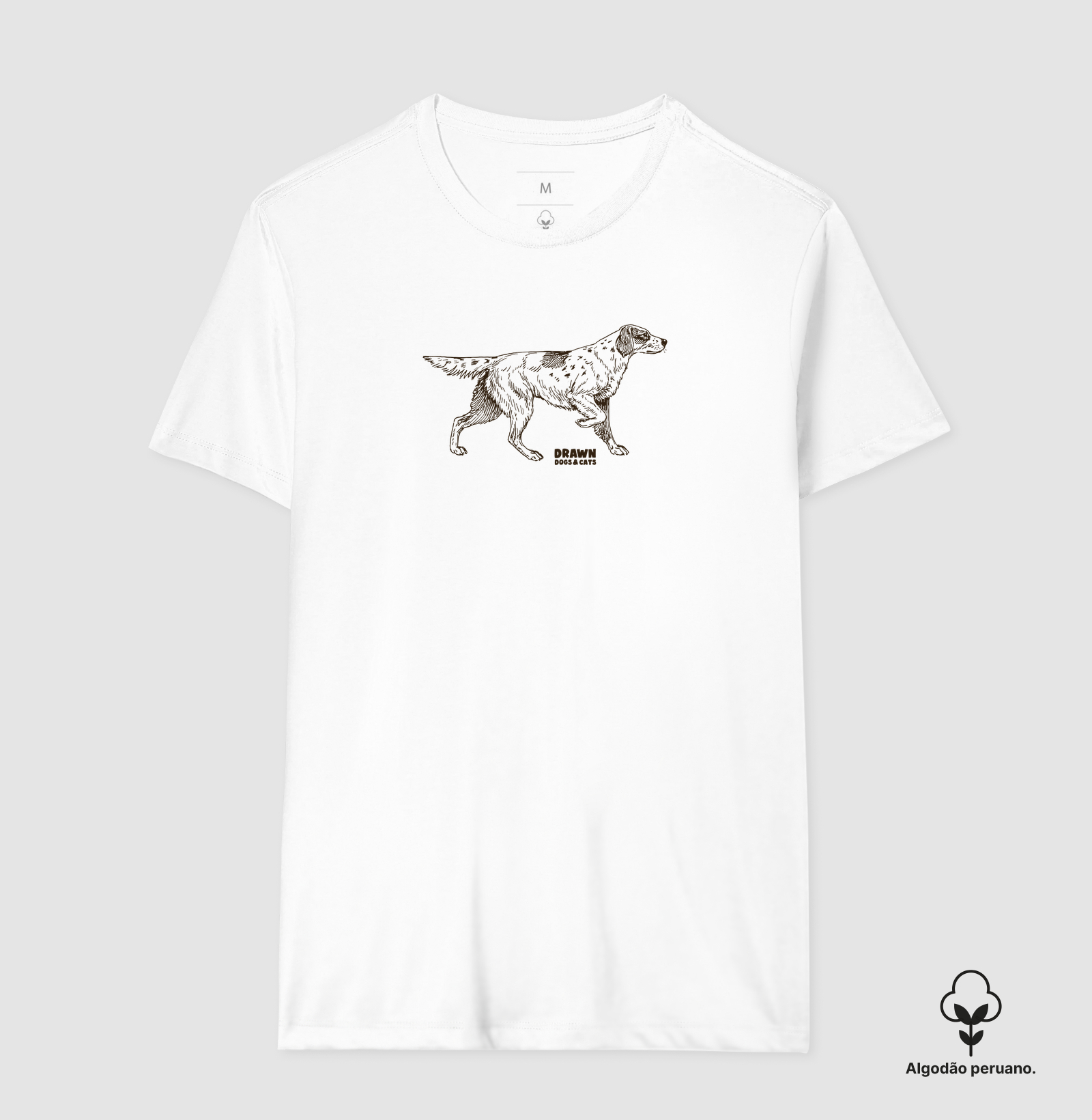 Setter inglês - Imagem 3