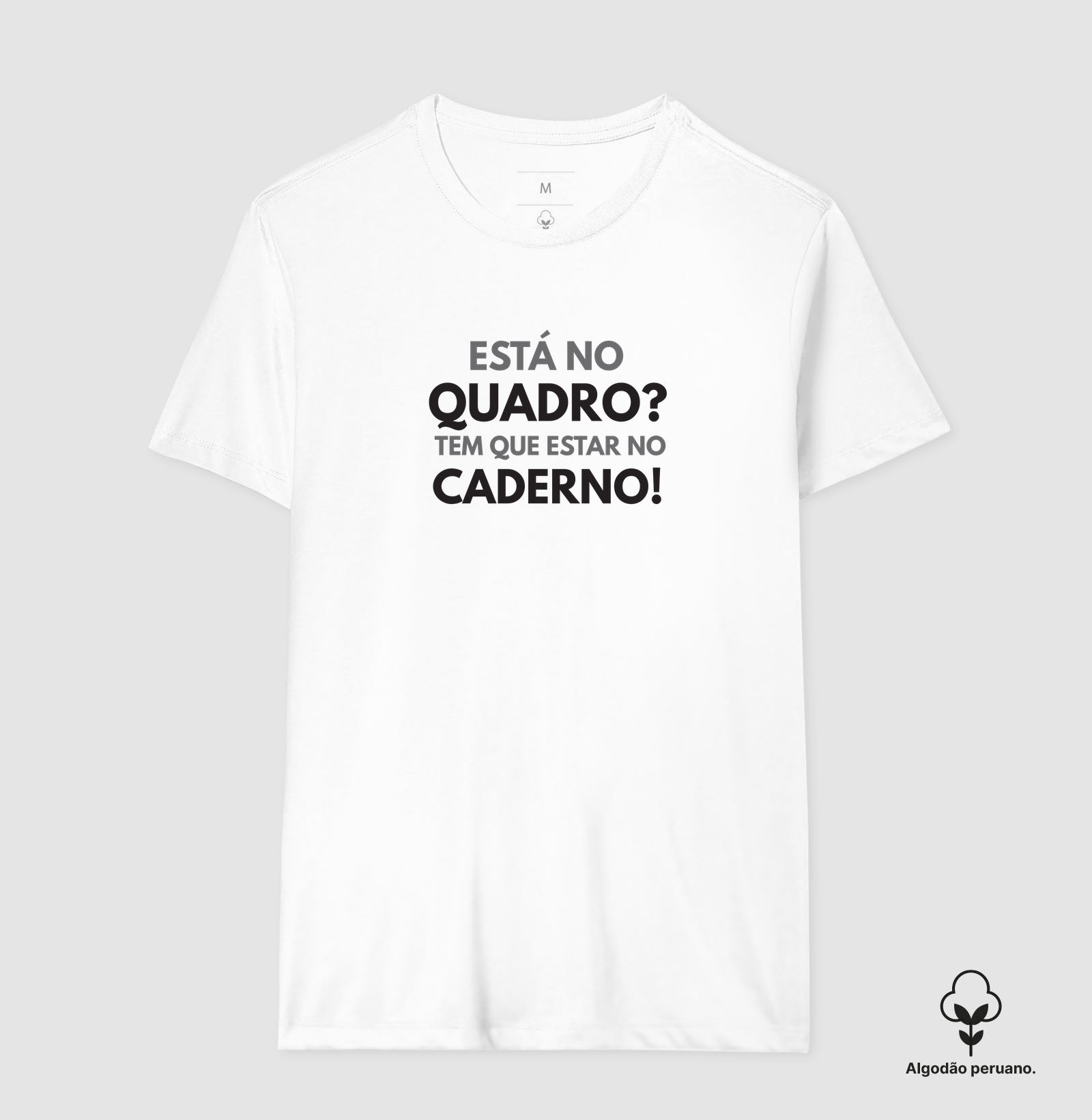 Está no quadro? Tem que estar no caderno - Imagem 4