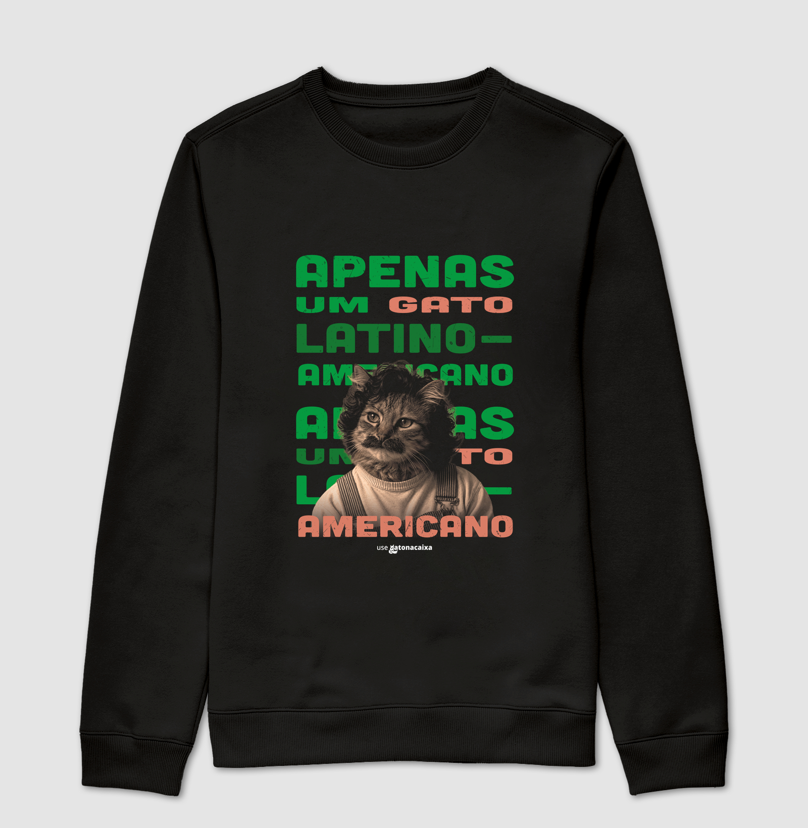 Apenas um gato latino-americano - Imagem 4