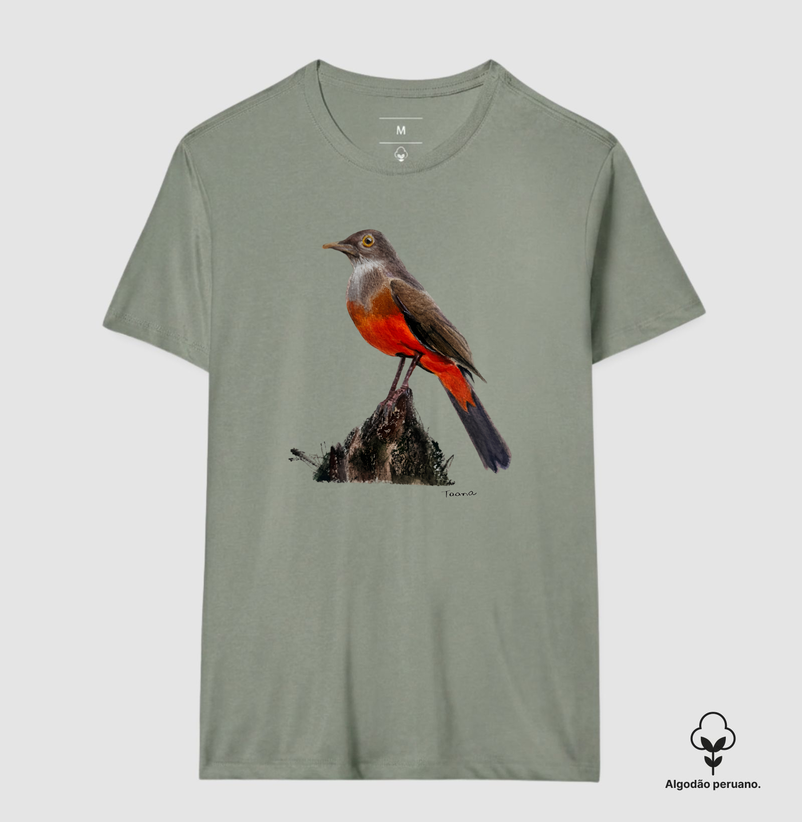 Camiseta Sabiá-Laranjeira – Aves do Brasil - Algodão Peruano - Imagem 11