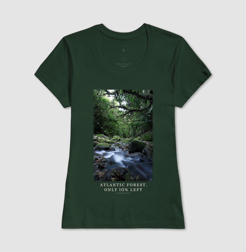 Atlantic Forest - Imagem 7