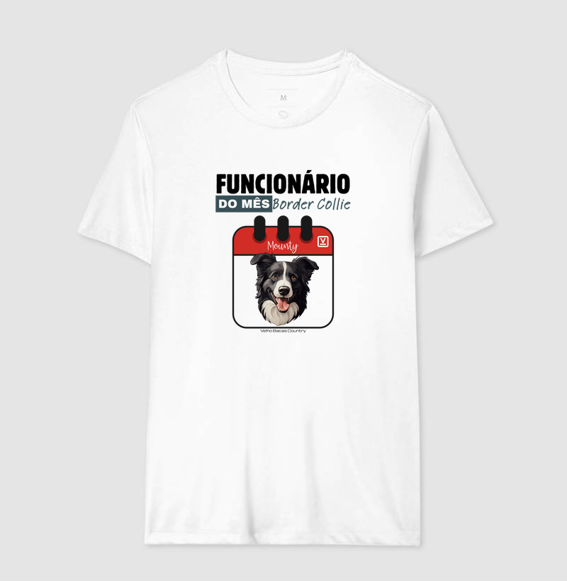 Border Collie - Imagem 6
