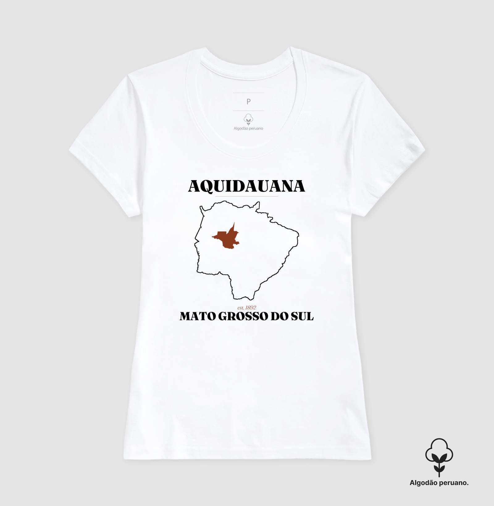 Aquidauana | Legado MS - Imagem 3