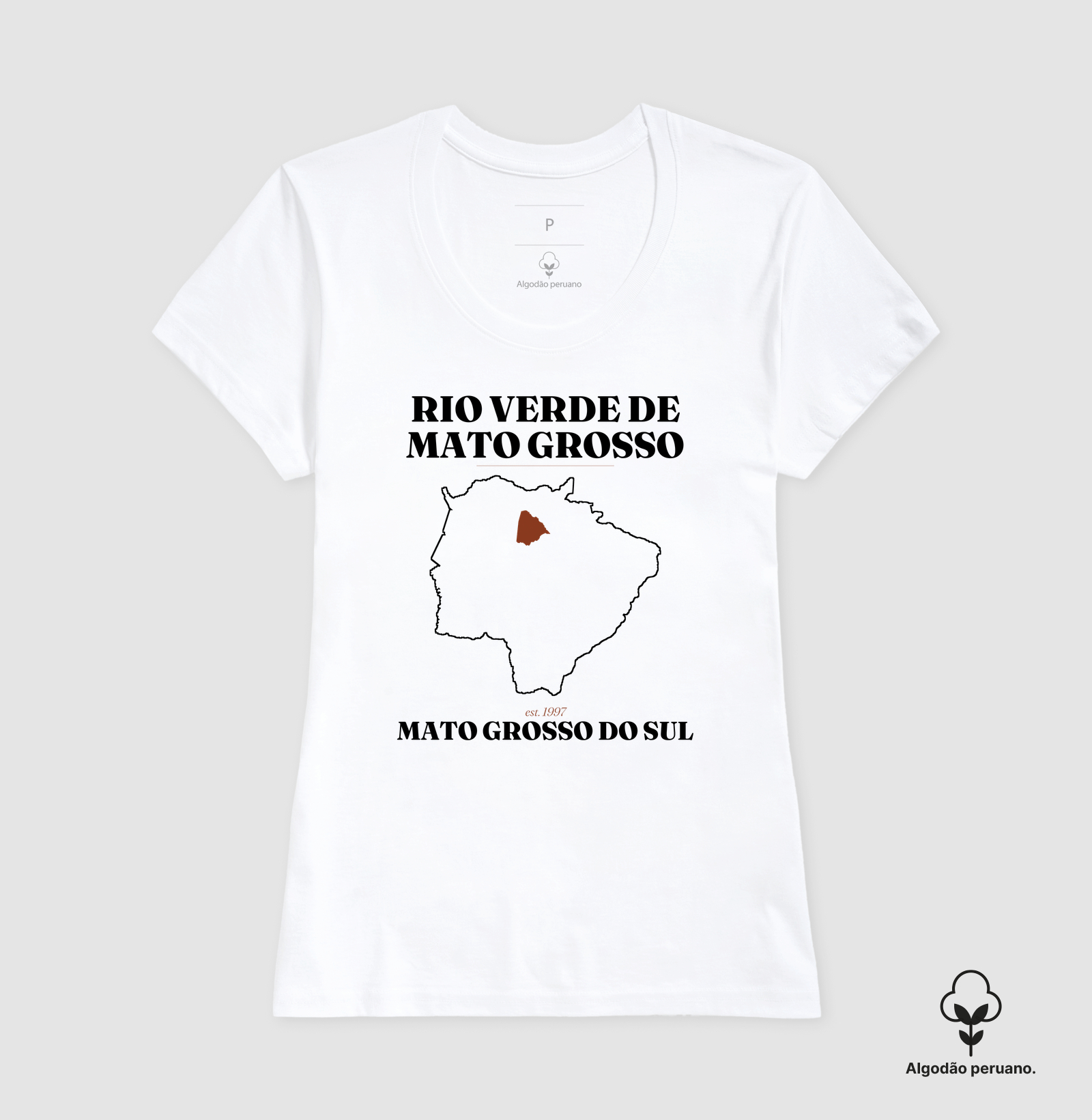 Rio Verde de Mato Grosso | Legado MS - Imagem 5