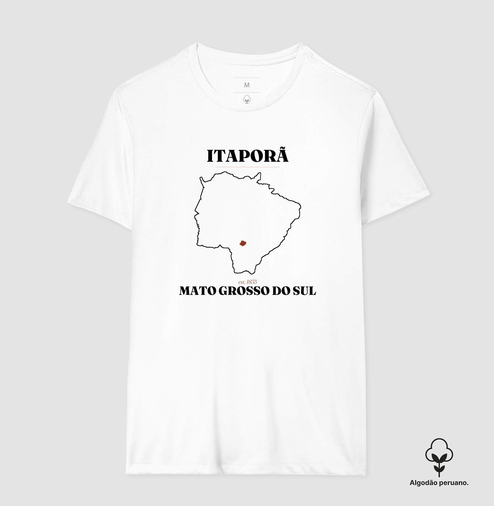 Camisa 2