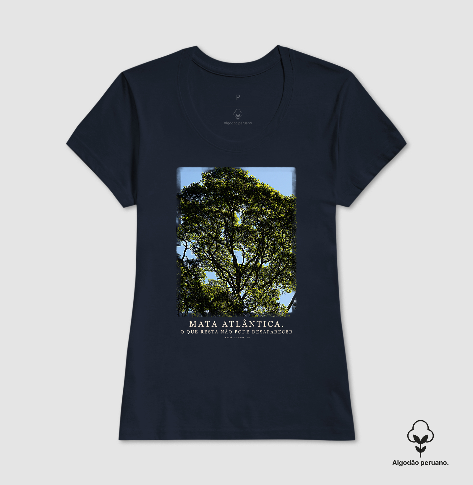 Mata Atlântica - Imagem 4