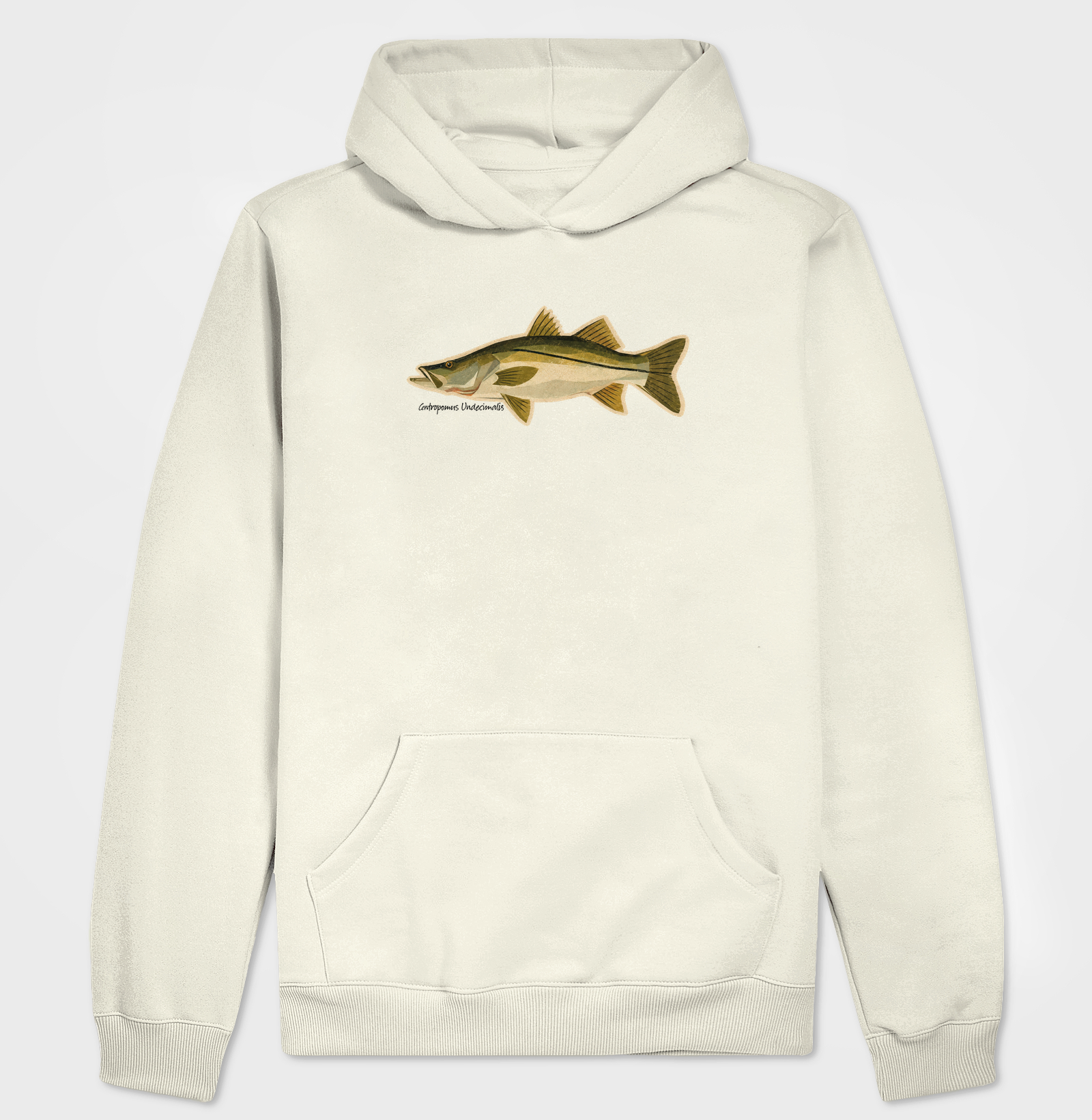 Robalo - Imagem 3