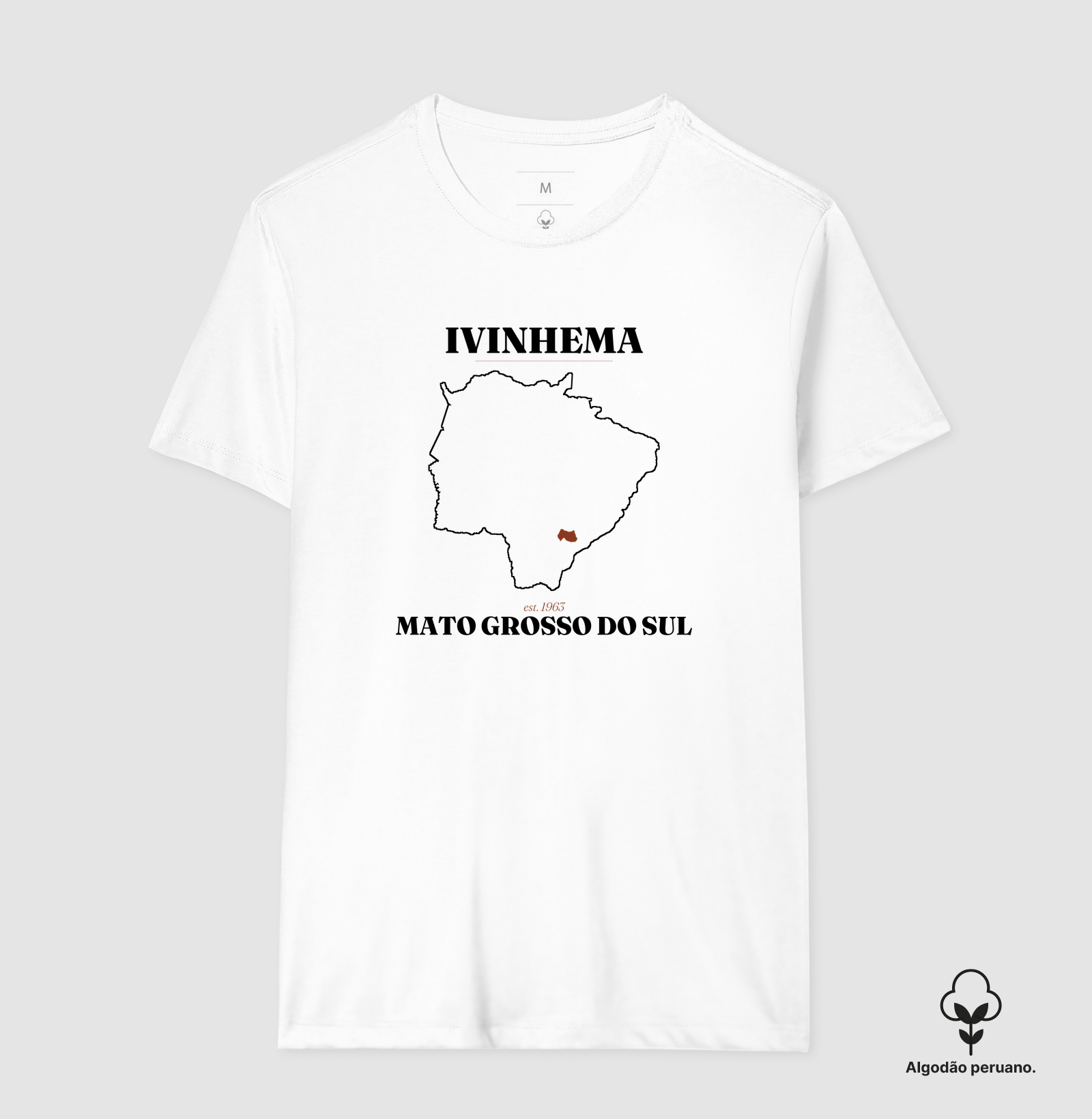 Ivinhema | Legado MS - Imagem 3