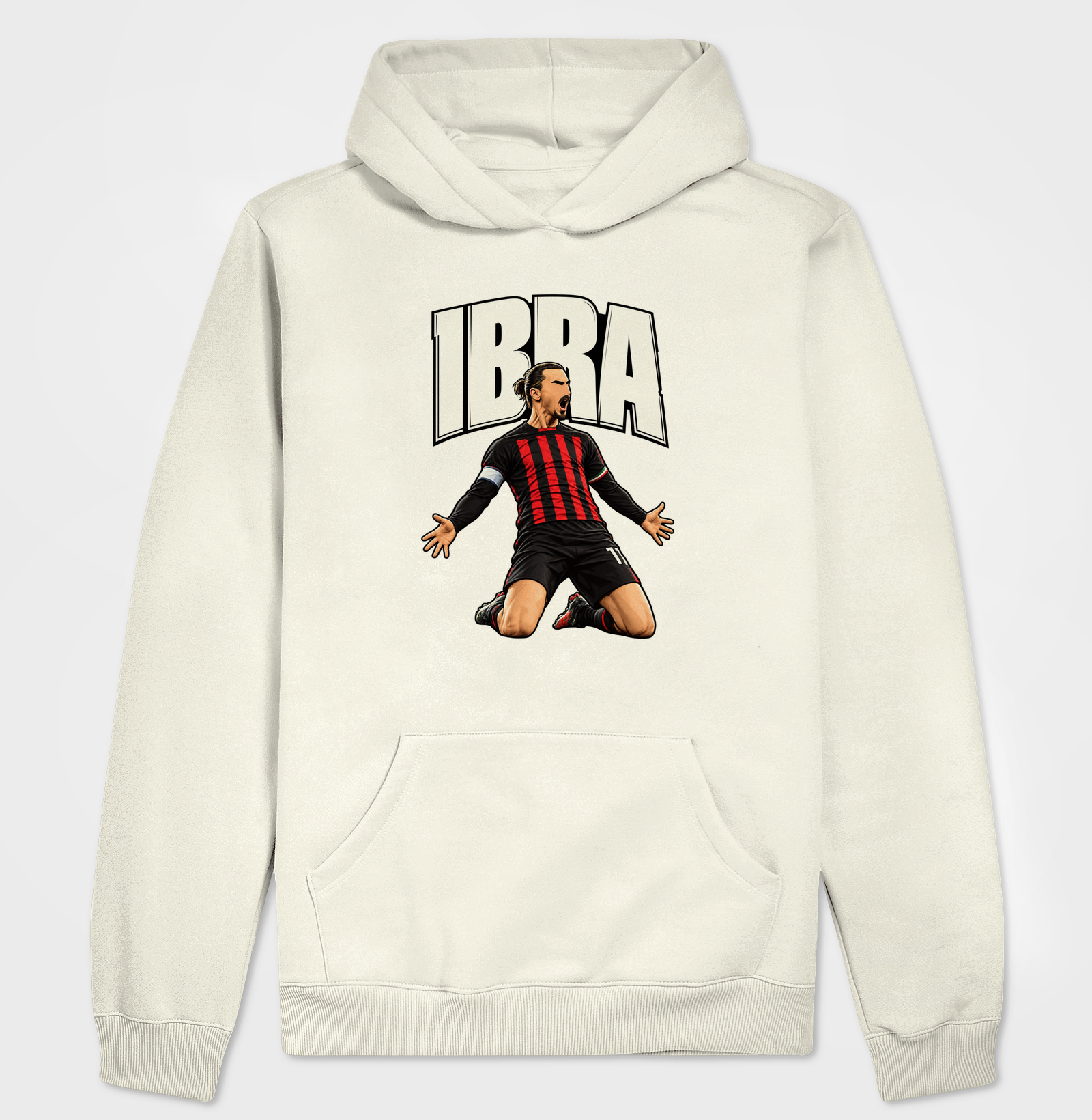 IBRA - Imagem 3