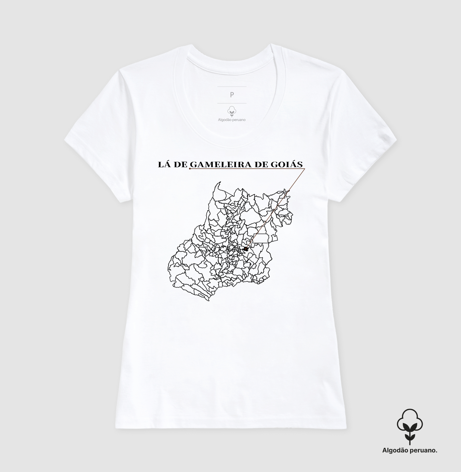 Gameleira de Goiás | Origem GO - Imagem 5
