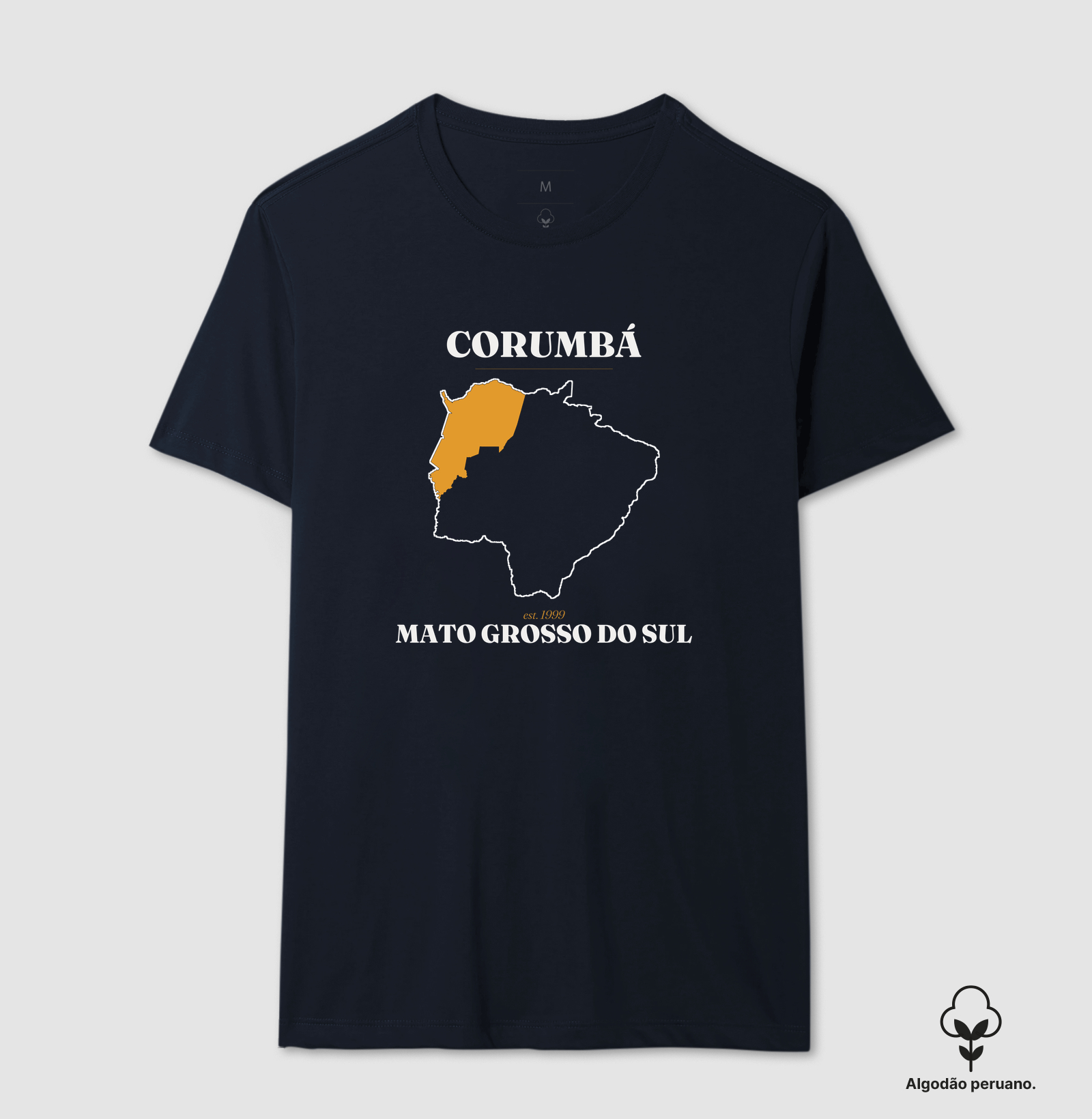 Corumbá | Legado MS - Imagem 6