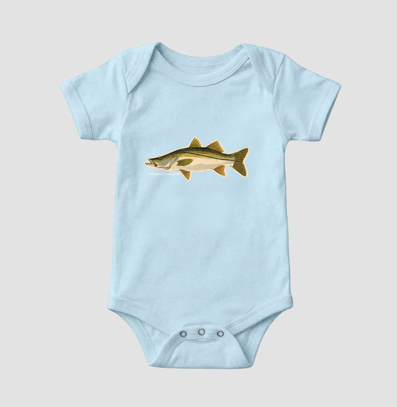Robalo - Imagem 4