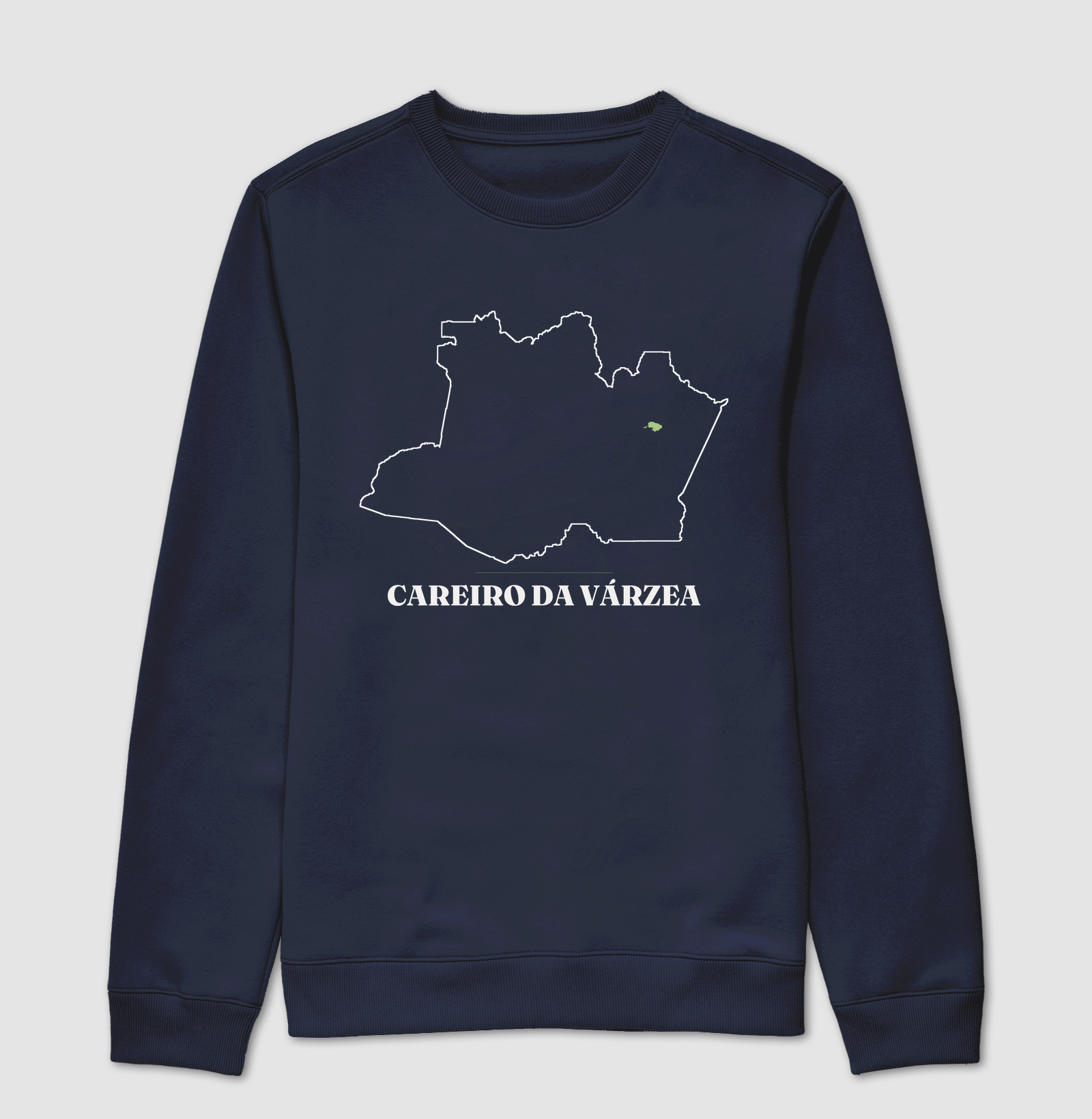 Careiro da Várzea | Traço AM - Imagem 5