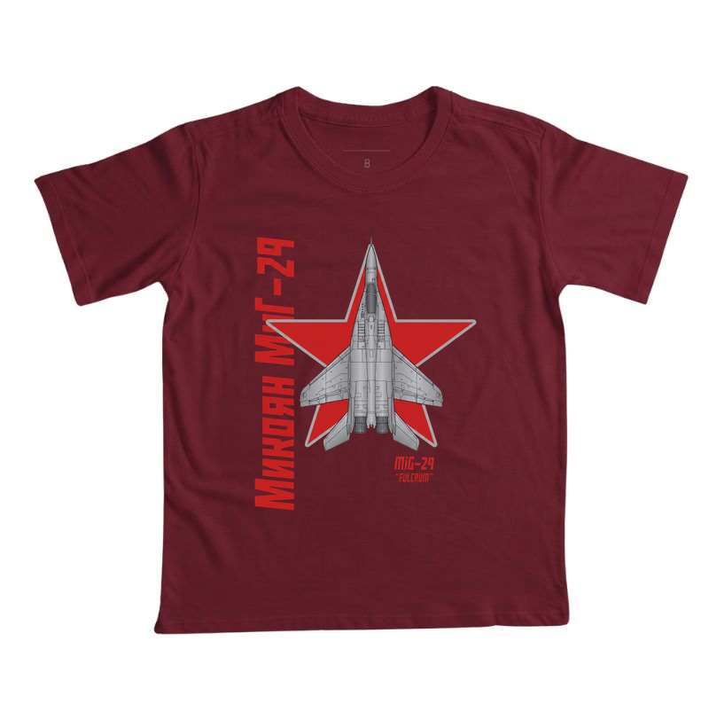 Mig29 Fulcrum - Imagem 5