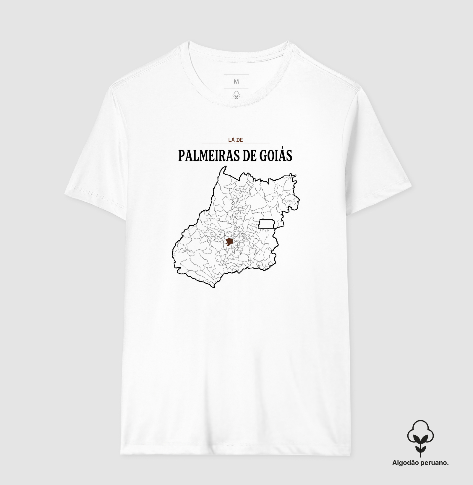 Palmeiras de Goiás | Território GO - Imagem 6