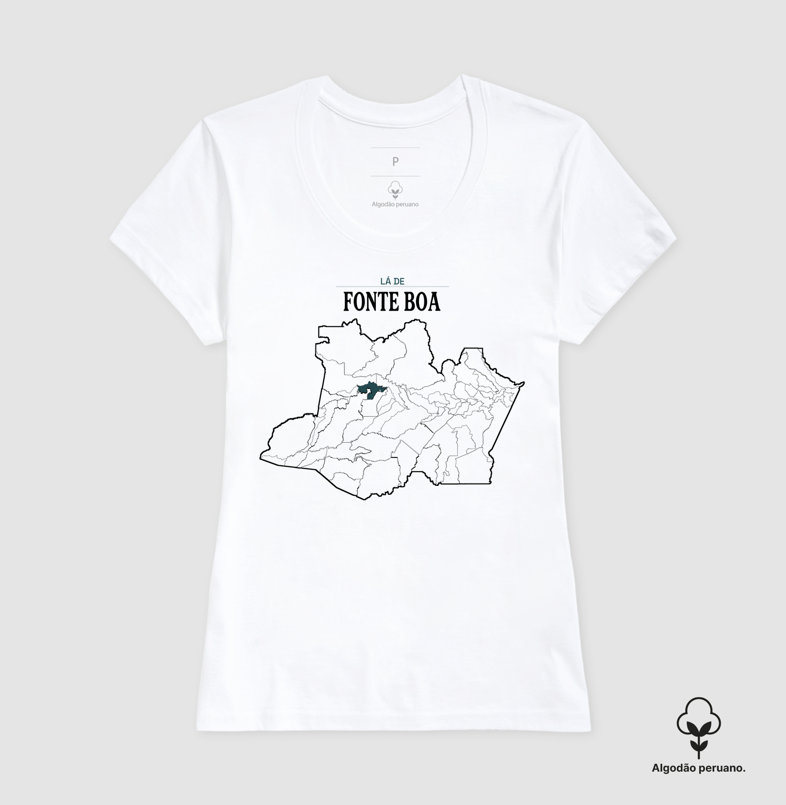Fonte Boa | Território AM - Imagem 2