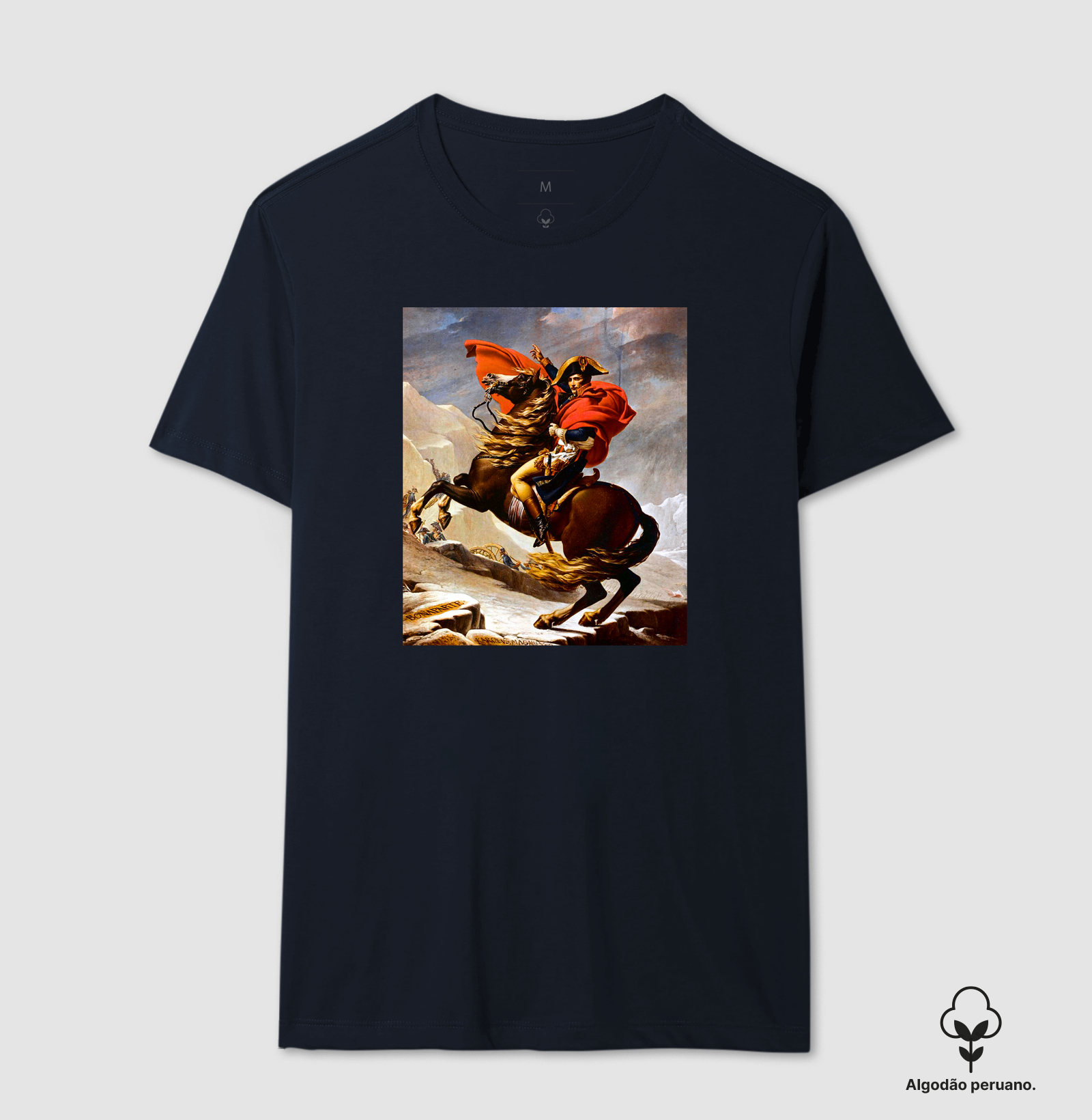 Napoleão Cruzando os Alpes – Jacques-Louis David | Império Napoleônico - Imagem 5