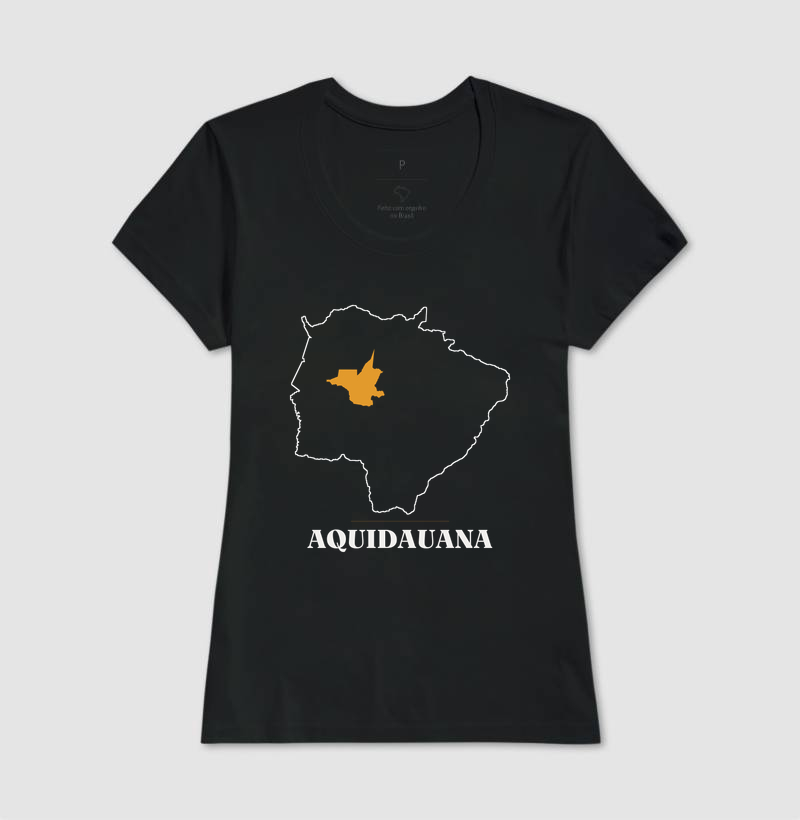 Aquidauana | Traço MS - Imagem 3