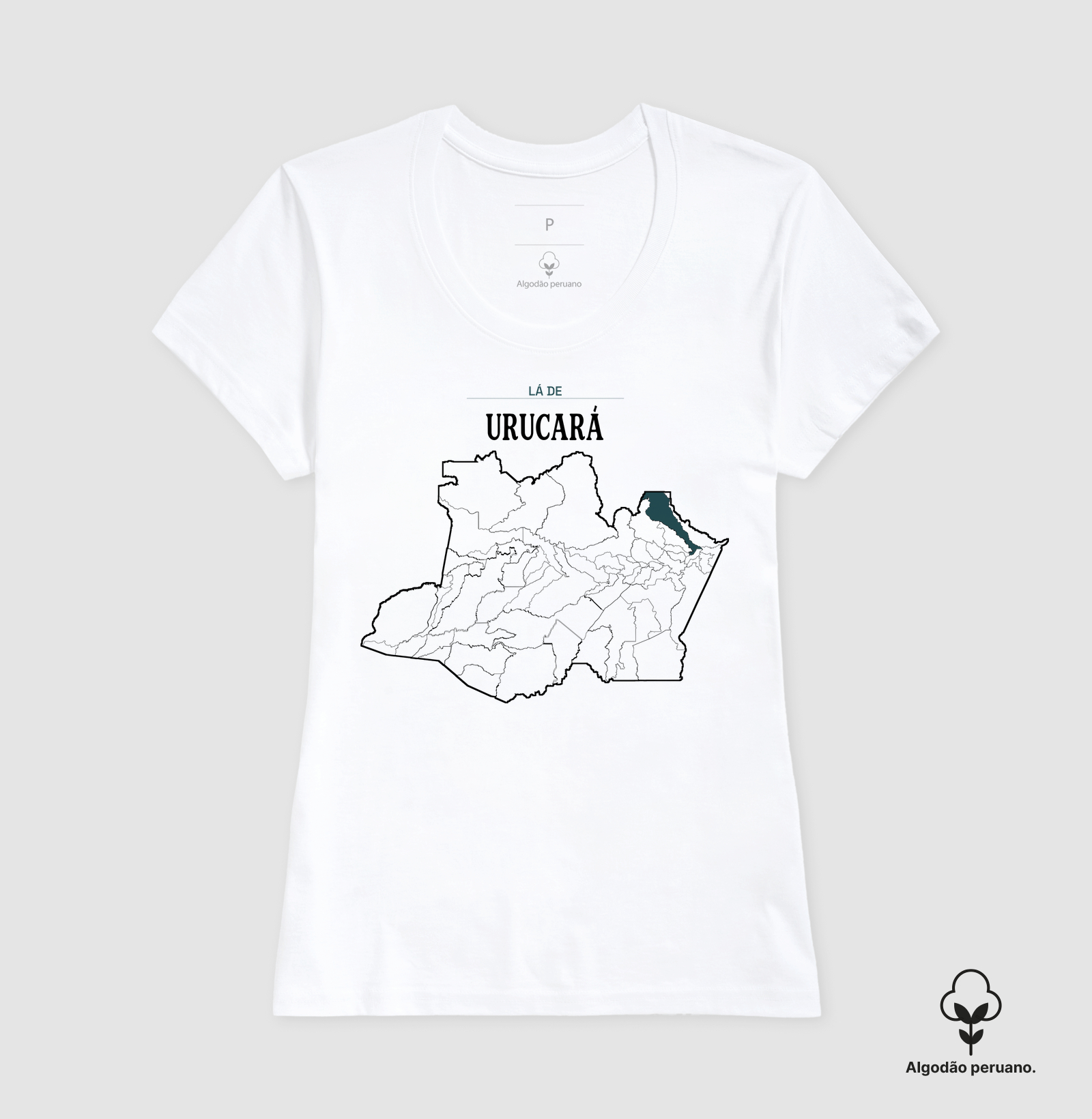 Urucará | Território AM - Imagem 8