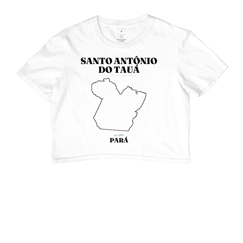 Santo Antônio do Tauá | Legado PA - Imagem 3