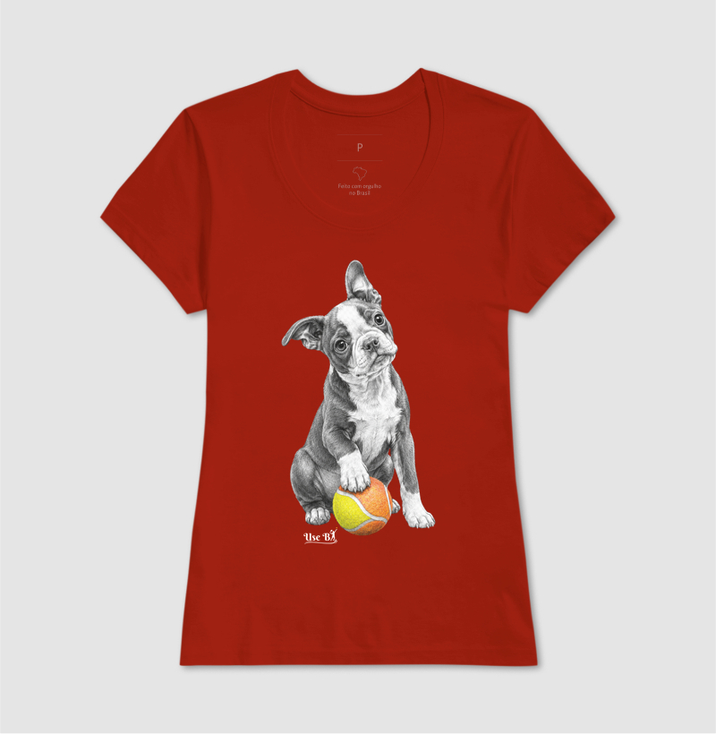 Boston Terrier do Beach - Imagem 11