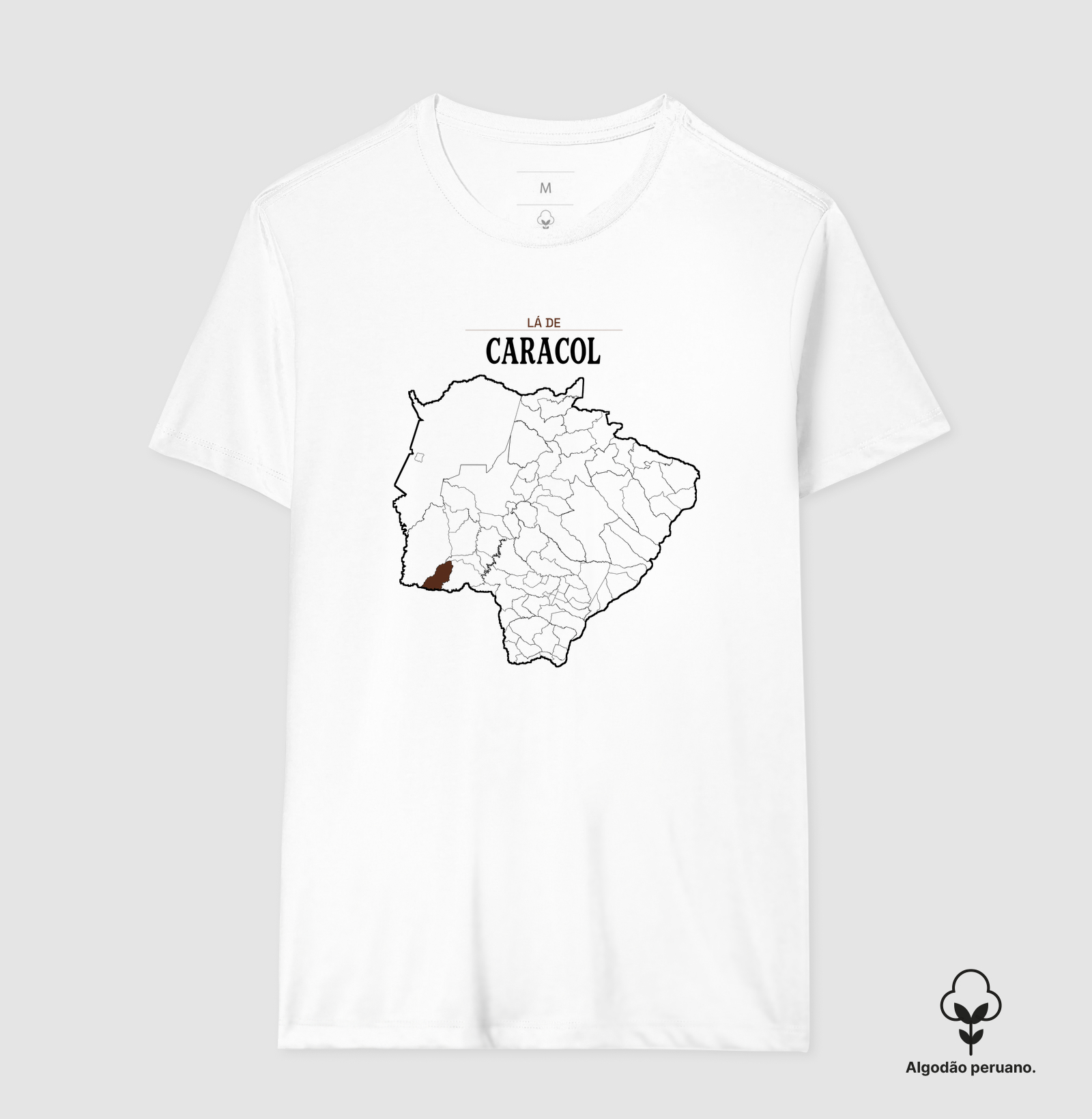 Caracol | Território MS - Imagem 9