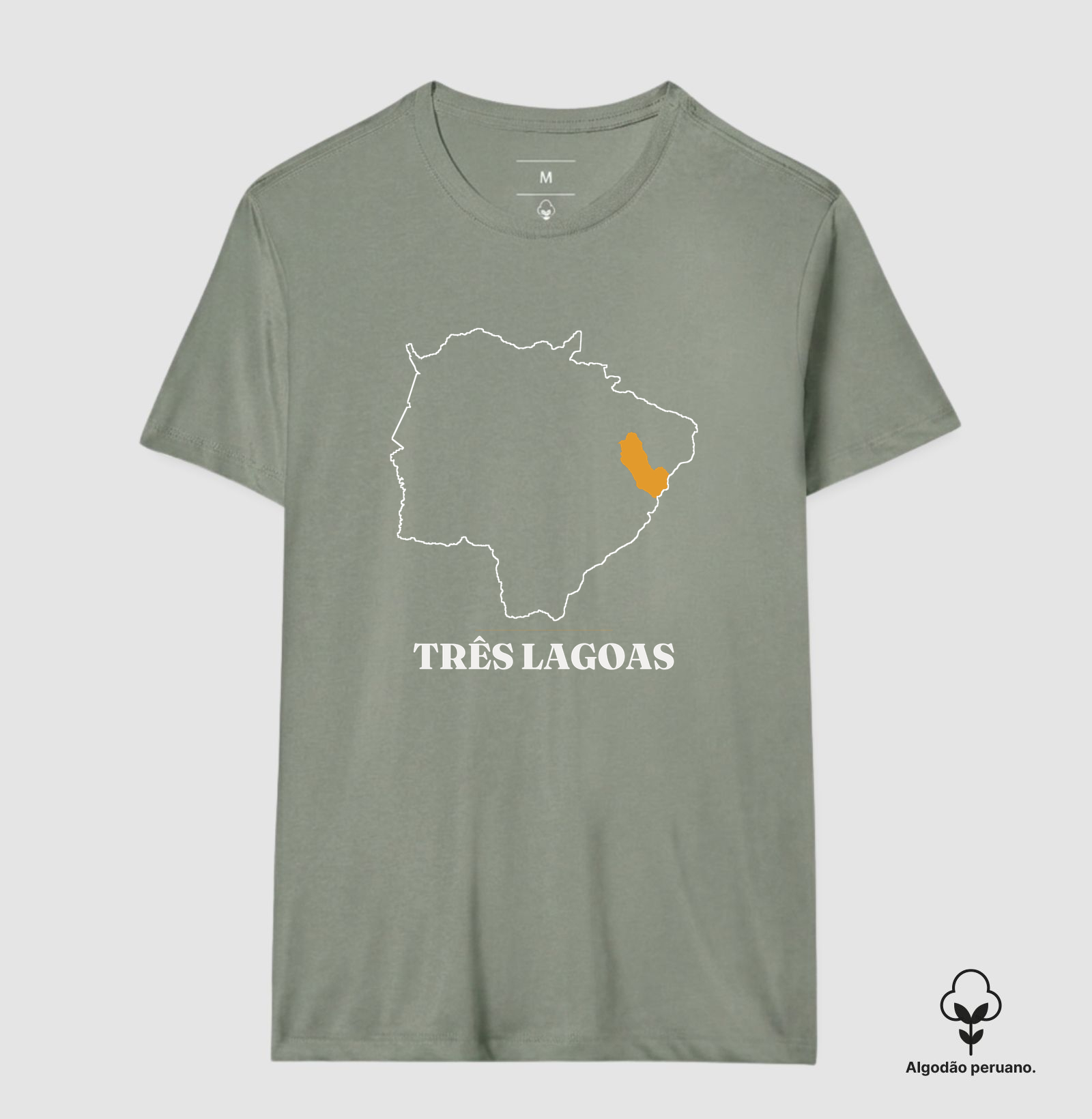 Três Lagoas | Traço MS - Imagem 3