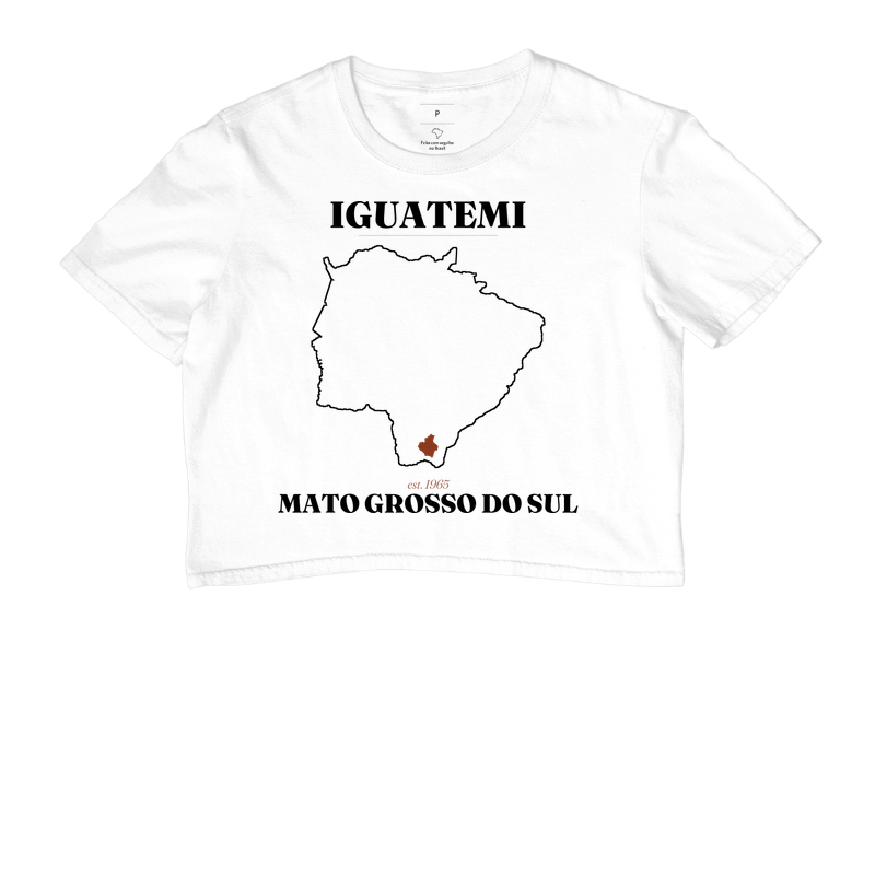 Iguatemi | Legado MS - Imagem 3