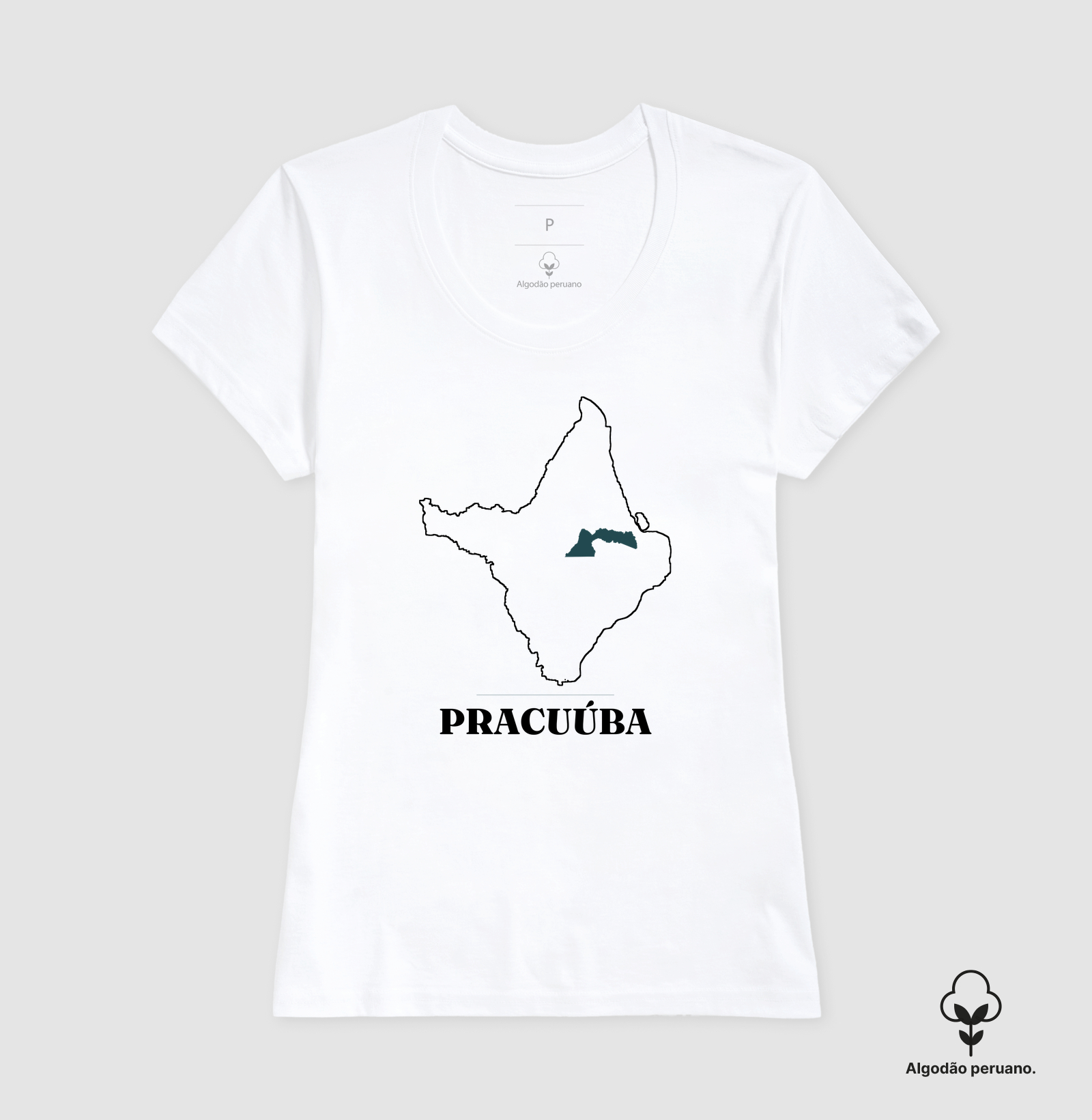 Pracuúba | Traço AP - Imagem 5
