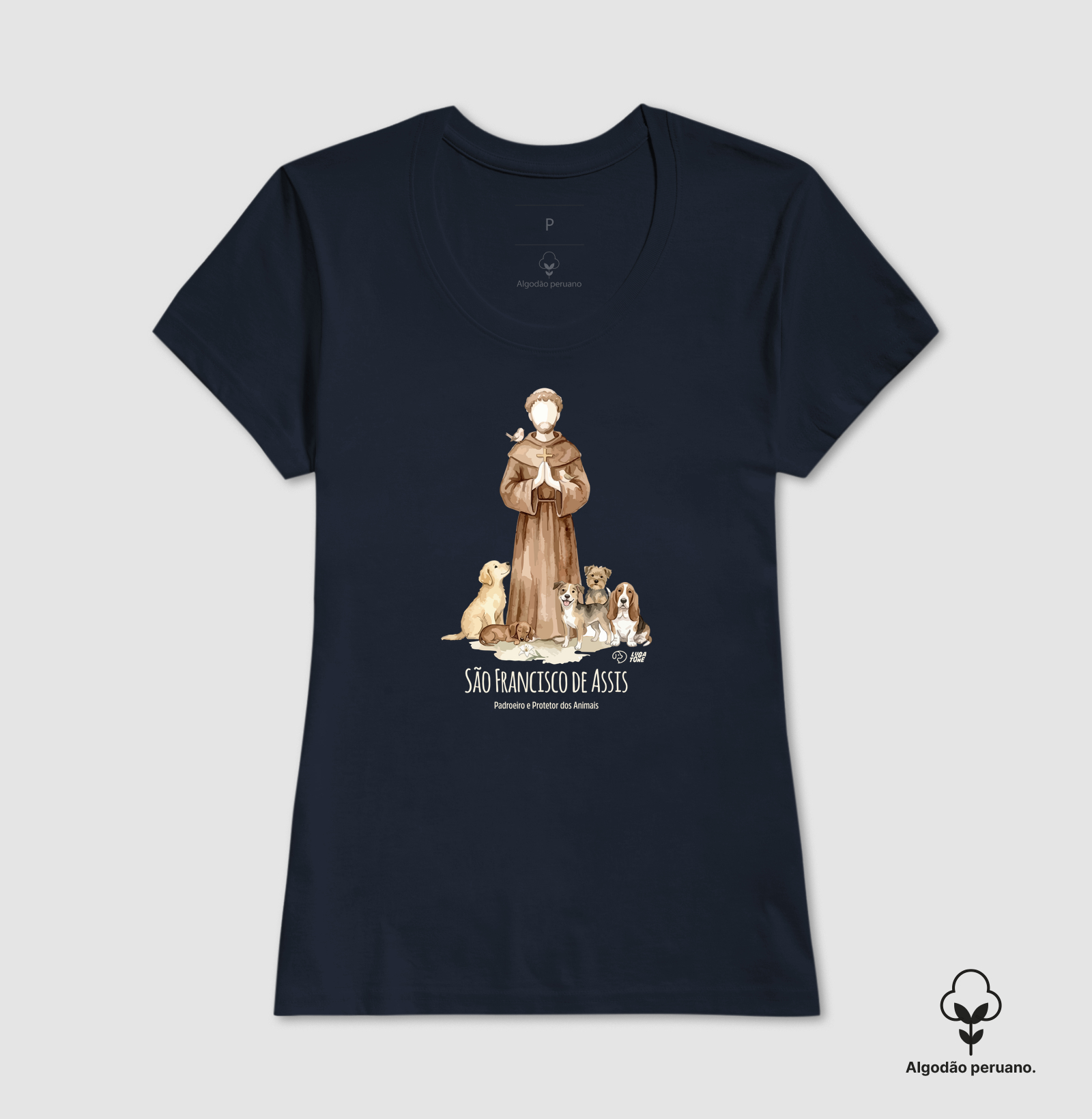 São Francisco de Assis - Imagem 8